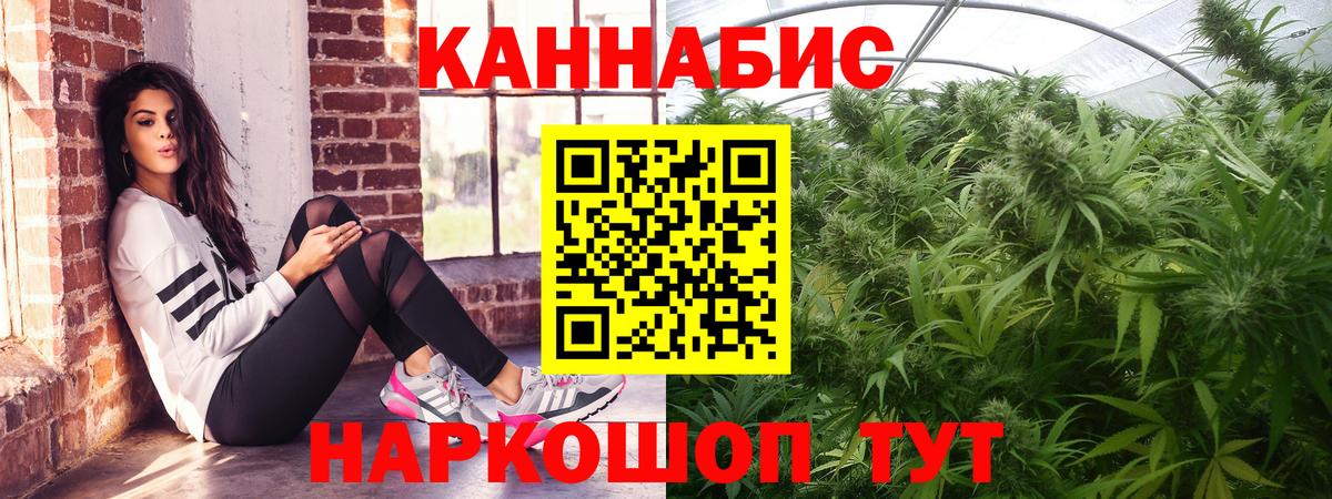 Марихуана сатива  Конопля White Widow  Конопля план  Бошки марихуана OG Kush  Вход с VPN  Гуково 